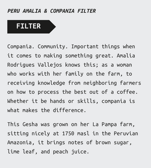 
                  
                    Friedhats •  Pérou, Gesha, filtre
                  
                