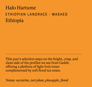 
                  
                    Sey Café • Halo Hartume , Ethiopie
                  
                