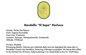 
                  
                    Shaughnessy • Guatemala, Randolfo ''EL Sapo'' Pacheco, 1 KG
                  
                